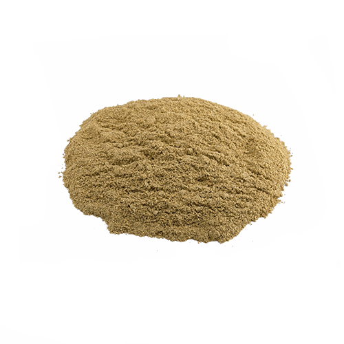 Koriander gemahlen (1kg)