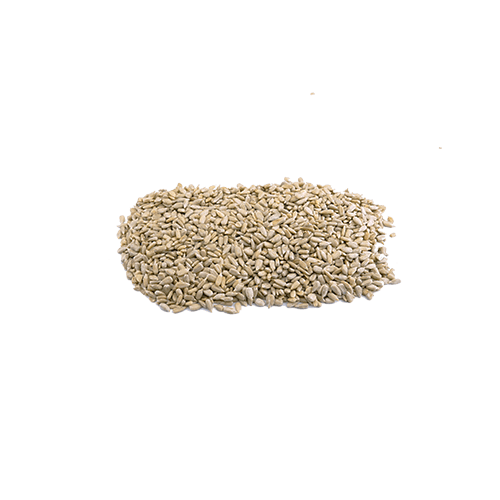 Sonnenblumenkerne roh Jumbo (1kg)