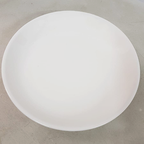 Speiseteller Ø21cm 2660