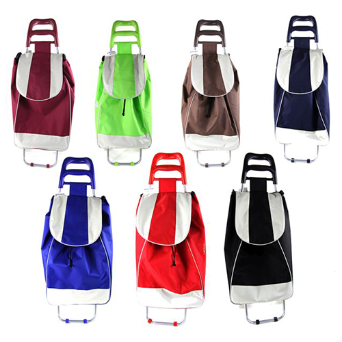 Einkaufswagen 2818/A1105