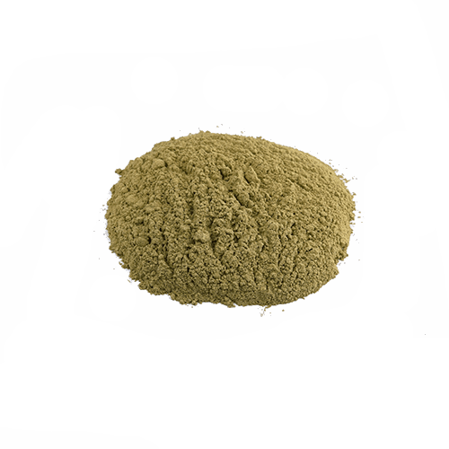 Salbei gemahlen (1kg)