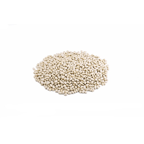 Weiße Bohnen aus Kanada (1kg)