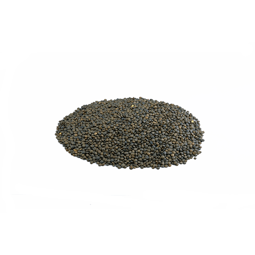 Berglinsen aus Kanada (1kg)