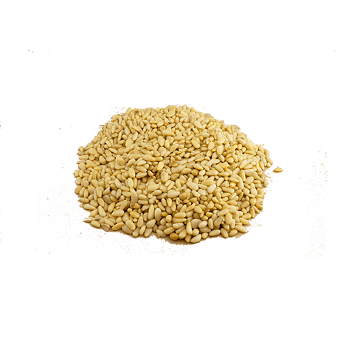 Pinienkerne aus China (1x12,5kg)