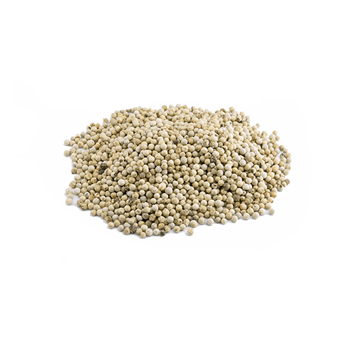Weißer Pfeffer ganz (1kg)