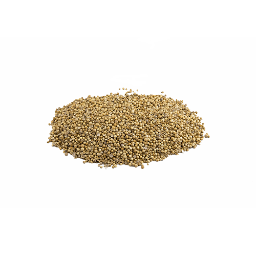 Koriander ganz (1kg)