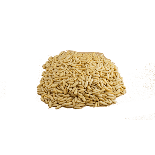 Pinienkerne aus Pakistan (1x10kg)