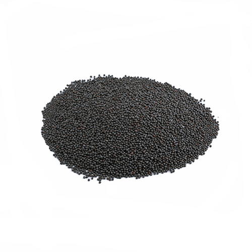 Senfkörner braun ganz (1kg)