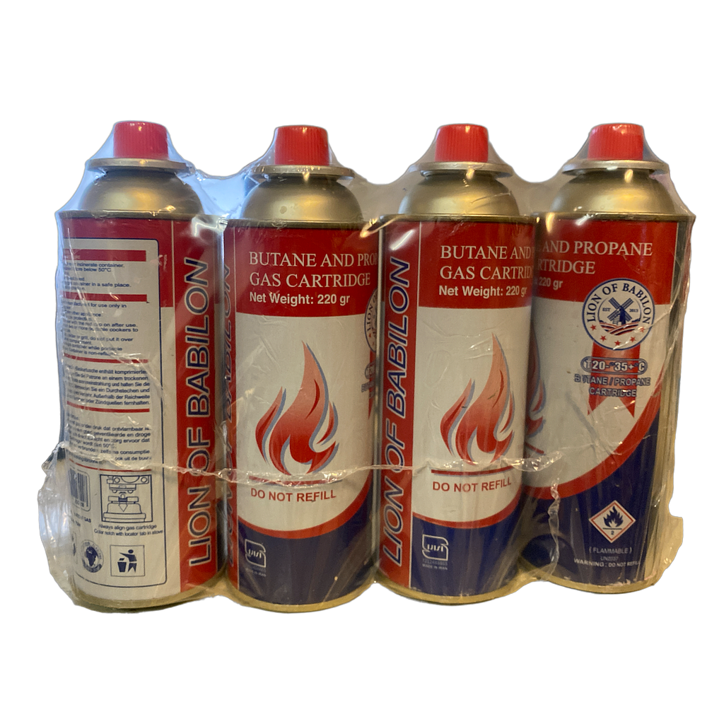 Gasflasche mit Ventil (227g)