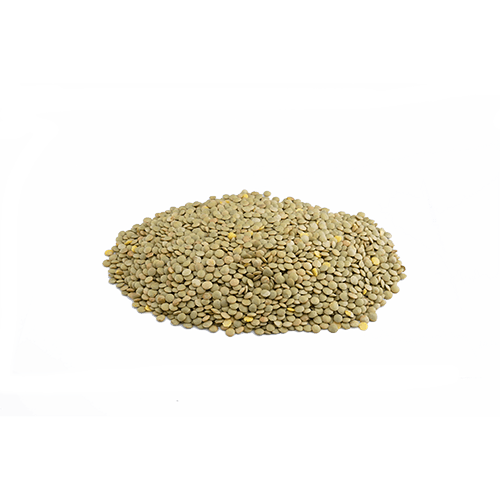 [3299] Grüne Linsen (1kg)