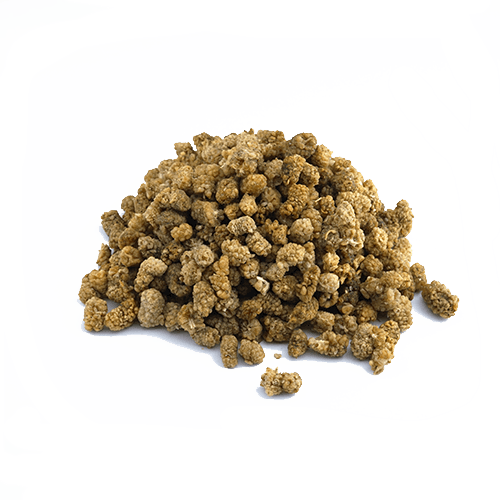 [1417] Maulbeeren weiß (1kg)
