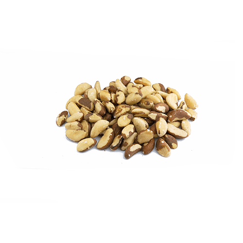 [829] Paranüsse medium aus Bolivien (1x20kg)