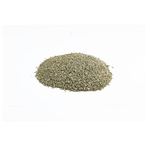 Fenchel ganz (1kg)