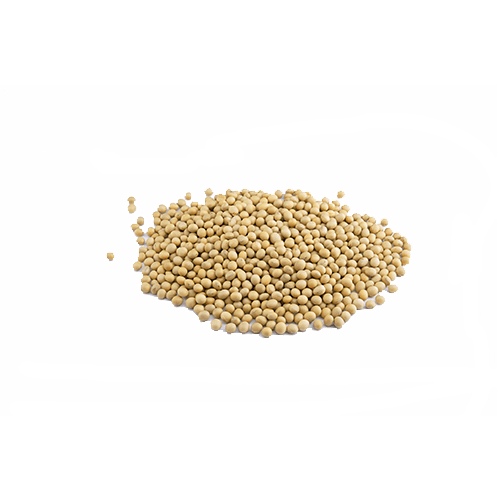Sojabohnen (1kg)