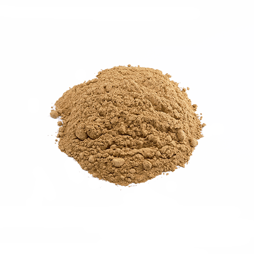 Galgantwurzel gemahlen (1kg)