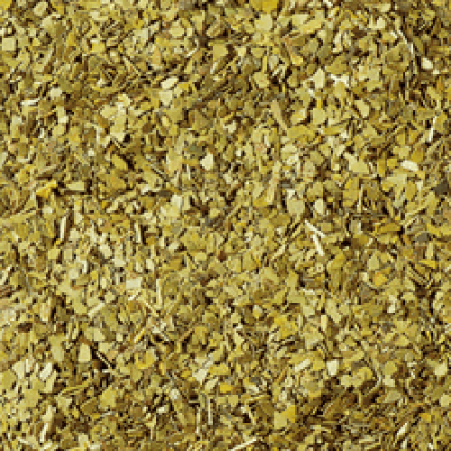 Mate Tee grün (1kg)